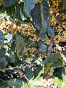 IMG_7359 1-2.webp