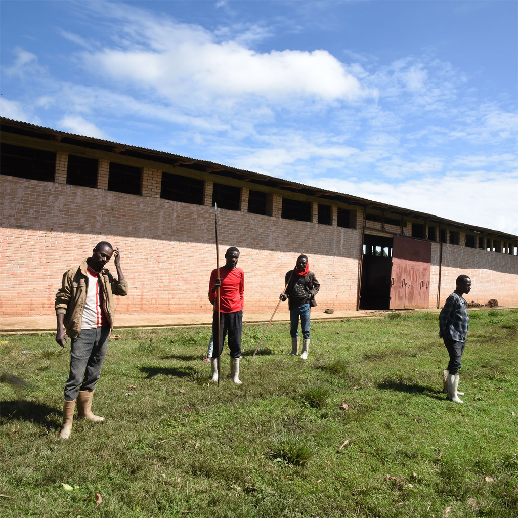 Etiopia GS 1.webp