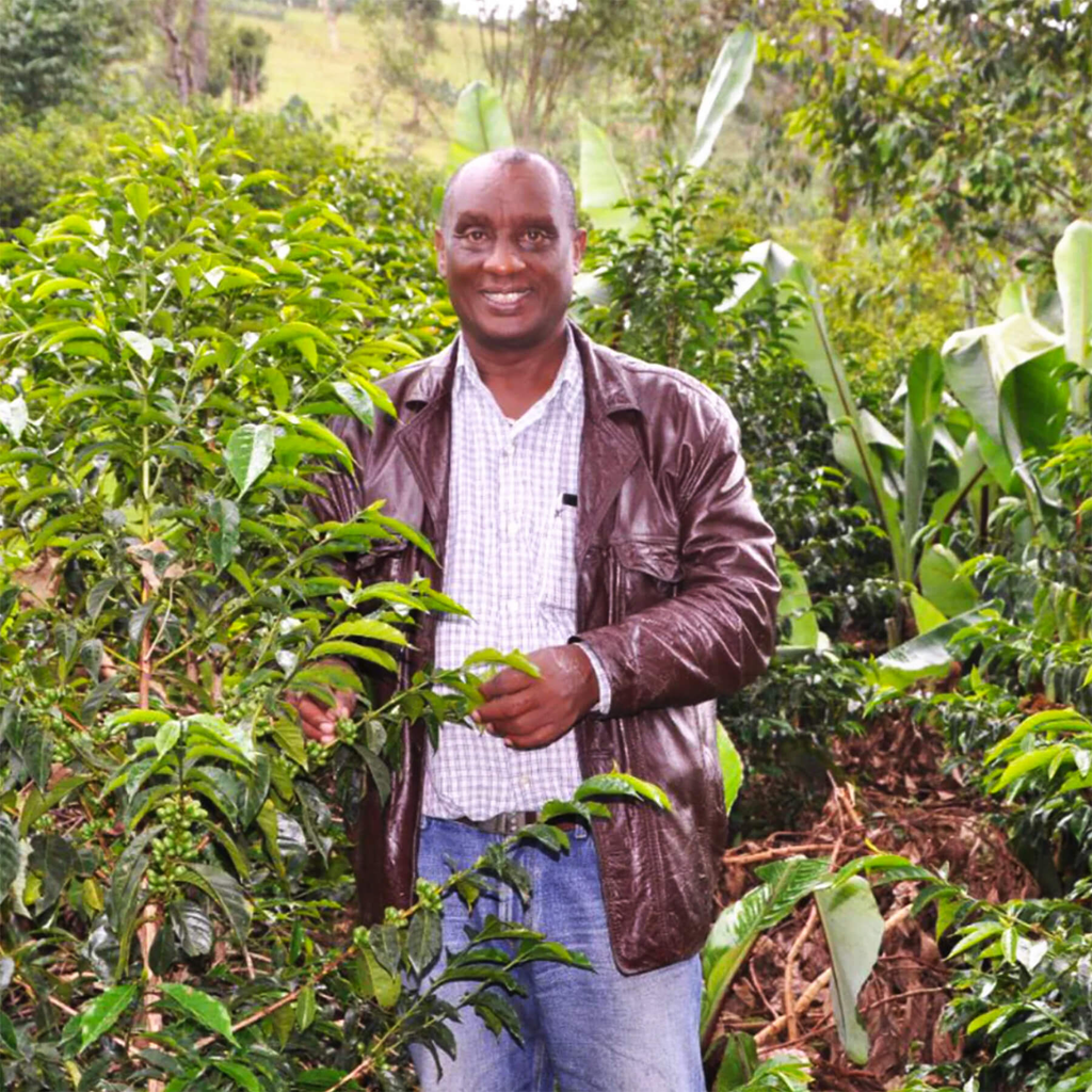 Etiopia Korupe 3.webp