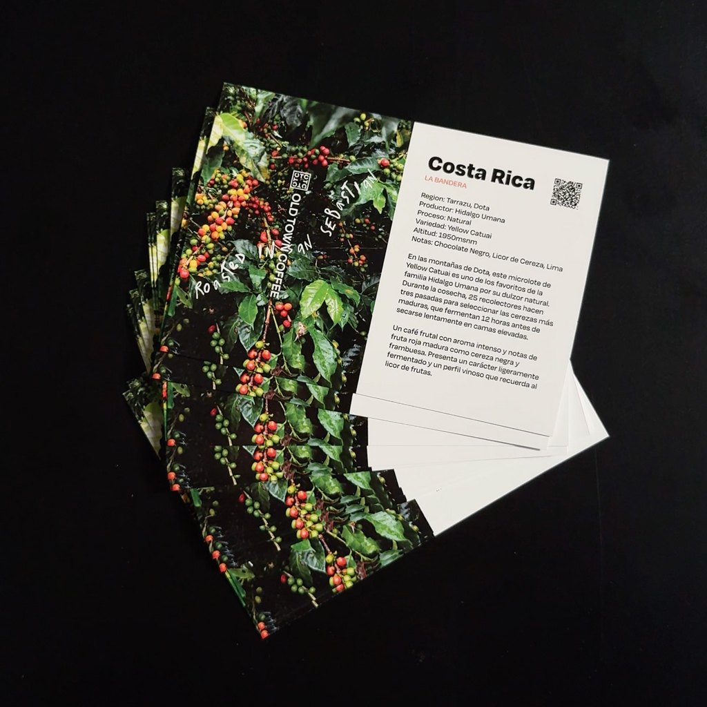 Costa Rica Cards.webp