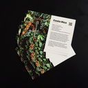 Costa Rica Cards.webp