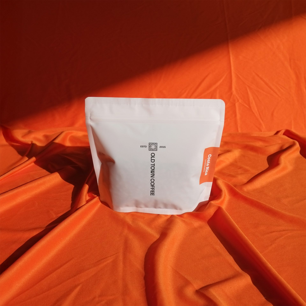 Costa Rica La Bandera Studio .webp