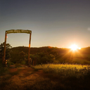 Brasil Bob O Link 2.webp