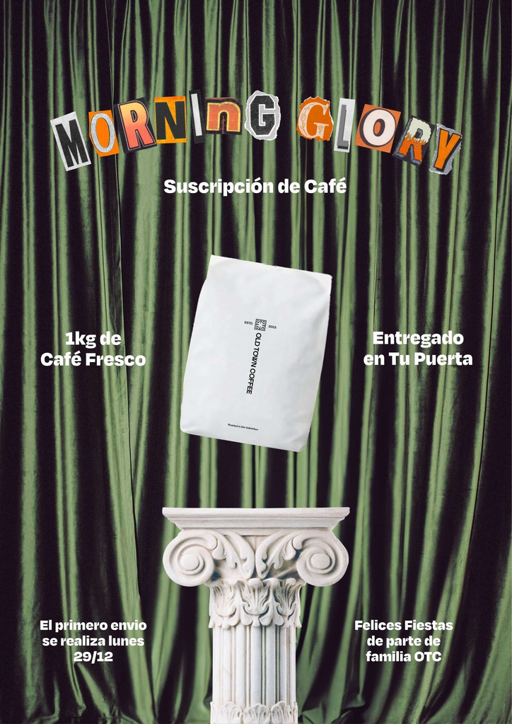 Morning Glory Regalo Navidad 2025.webp