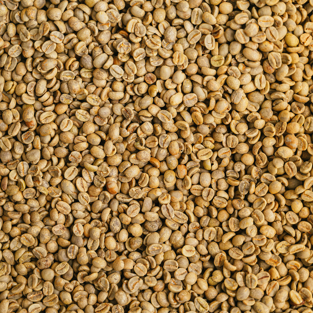 Colombia Geisha Ceres 4.webp