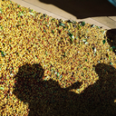 Costa Rica La Planada 3.webp