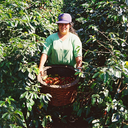 Costa Rica La Planada 4.webp