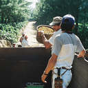 Costa Rica La Planada 6.webp