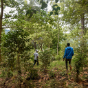 Etiopia Tabe Honey 2.webp