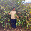 Etiopia Tabe Honey 4.webp