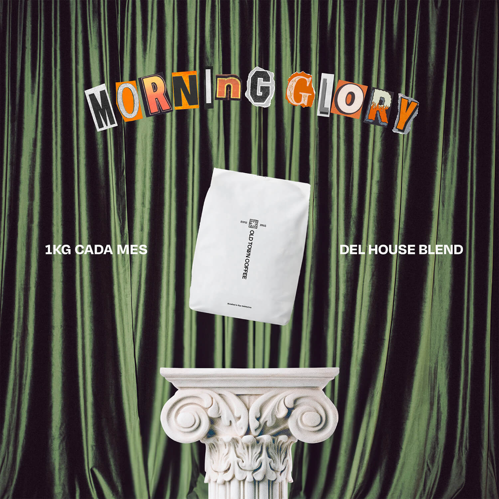 Morning Glory (En grano)